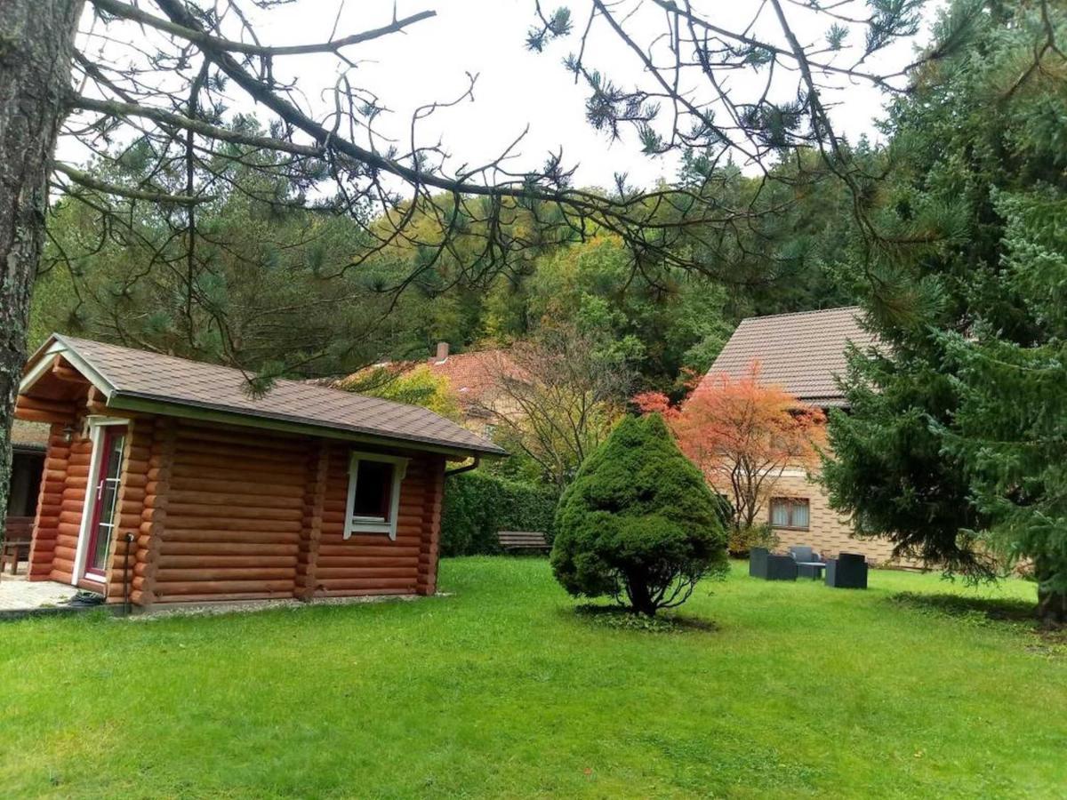 Apartmán Haus Am Wolfsbach Zorge Exteriér fotografie